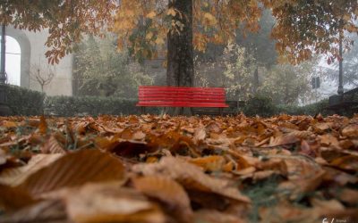 la Panchina Rossa prosegue… convegno: “La tutela del valore delle donne nel mondo del lavoro”