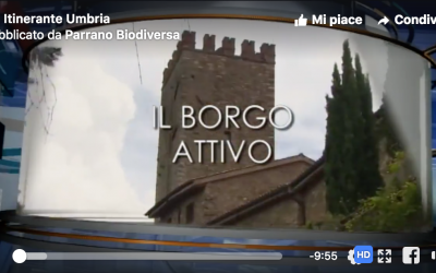 TG Itinerante Umbria fa tappa a Parrano