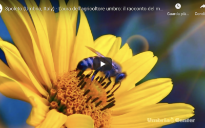 Spoleto (Umbria, Italy) – L’aura dell’agricoltore umbro: il racconto del miele
